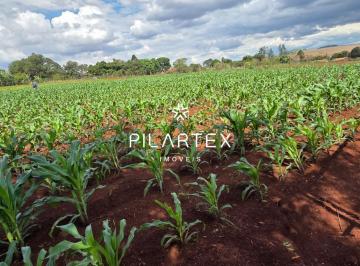 Rural · 2500m² · Chácara - Fazenda Nata