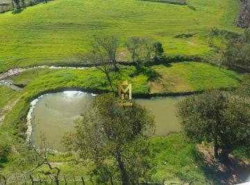 Imagem 1 · Sítio para venda em Passo da Branquinha, Viamão