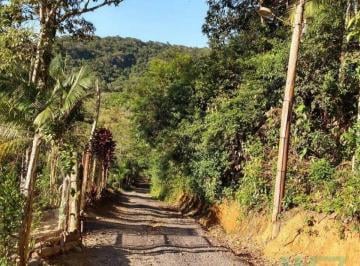 Imagem 1 · Chácara para venda em Miracatu