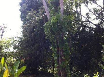 Foto 01 · Terreno de 12.100 m² à venda em Bragança Paulista-SP, no bairro Mãe dos Homens. Venha conferir e rea