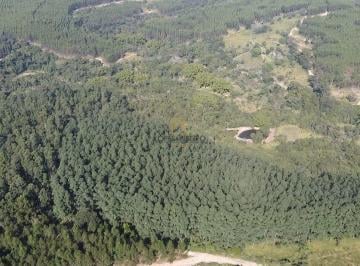 Rural de 3 quartos, Botucatu · Fazenda / Sítio para venda em Anhumas de 150.00m² com 3 Quartos e 3 Garagens