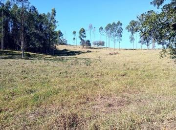 Rural , Botucatu · SÍTIO À VENDA DE 4,8 HECTARES - REGIÃO DE TOLEDO | BOTUCATU/SP