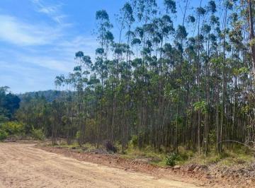 Terreno , Mairinque · Mairinque 1000m² Próximo à Raposo – Lançamento