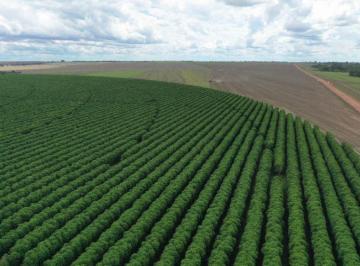 Rural de 6 quartos, Brasília · Fazenda Unai MG 4.667 hectares Plantando Café Arábica Irrigado