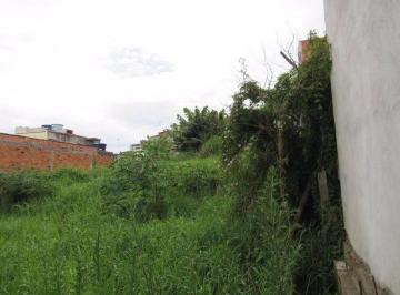 Terreno · 320m² · Terreno para alugar em Parque São Miguel de 320.00m²