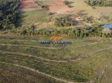 Imagem 1 · Sítio para venda em Itapira