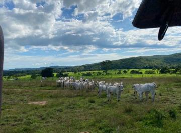 Rural · 1027m² · 8 Quartos · 10 Vagas · Sítio à venda no bairro Zona Rural em Iporá/GO