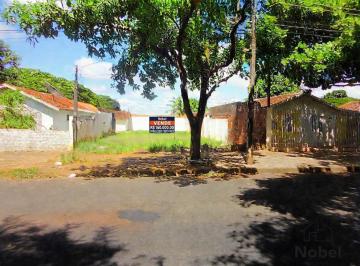 Terreno · 346m² · Terreno comercial de 346,50m² na Avenida Brasilia em Cianorte-PR: oportunidade única para investidor