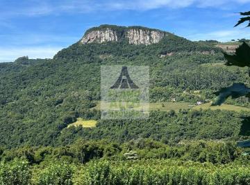 Rural · 20000m² · Chácara para venda em  travessão BARROS PIMENTEL - Vila Cristina - 4,5 hectares