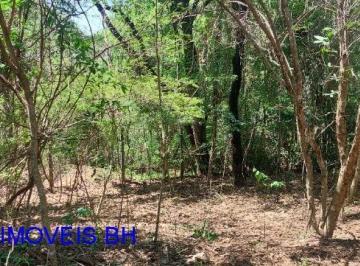 Foto 12 · Terreno à venda no bairro Jardim Encantado, São José da Lapa-MG: 30,000 m² de oportunidade única!