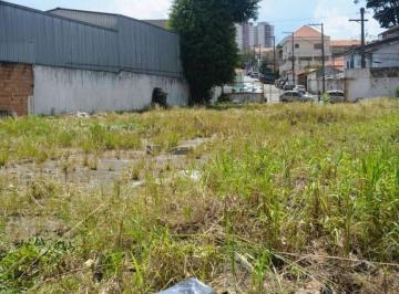 Terreno · 1400m² · Terreno para alugar em Vila Moreira de 1400.00m²
