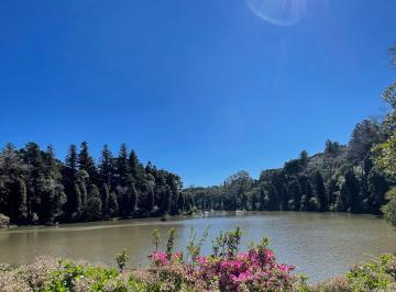 Terreno , Gramado · Investimento, construção em Gramado