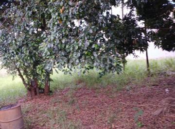 0 · Terreno à venda na Cidade Universitária em Campinas na Davanti Imóveis.