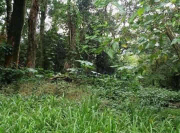 fbda159b0911c53ac4b89e6692ea13aa1d4371c2 · Terreno à venda, 1100 m² por R$ 345.000,00 - Serra da Cantareira - Mairiporã/SP