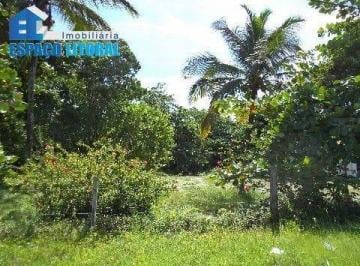 Terreno · Área à venda, 21041 m² por RS 15.000.000,00 - Porto Novo - Caraguatatuba-SP