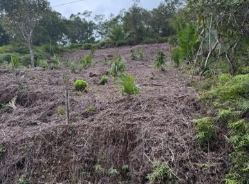 Imagem do Imóvel · Terreno liberado Pru Mirim em Ubatuba
