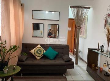 Apartamento · 33m² · 1 Quarto · 1 Vaga · Apartamento para alugar em Jardim Irajá de 33.00m² com 1 Quarto e 1 Garagem