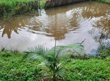 Terreno de 3 quartos, Santa Isabel · Chácara para venda em Centro de 100.00m² com 3 Quartos e 5 Garagens