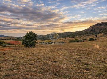 Paisagem exuberante e terra de alta rentabilidade a apenas 1,5 km do asfalto, unindo logística perfeita e qualidade de vida no campo. · Fazenda 186 Alqueires no Sul de MG | Dupla Aptidão à Venda