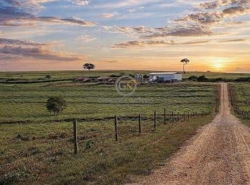 Excelente aproveitamento útil de 80% da área total (408 alqueires / 968 hectares) com localização privilegiada a apenas 2 km do asfalto. · Fazenda 408 Alqueires em Penápolis SP com Pivô Irrigado