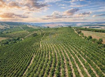Panorama aéreo dos 8,3 alqueires de café em Varginha MG, destacando o relevo suave e aptidão 80% mecanizada. · Fazenda de Café à Venda em Varginha MG | 8,3 Alqueires