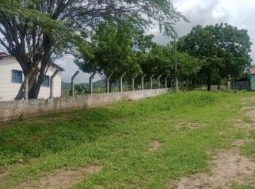 Rural de 3 quartos, Maranguape · Vendo excelente fazenda de 200 hectares no povoado de Butija distante 25 km do centro de Maranguape