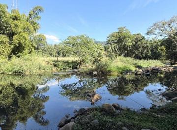 Terreno , Morretes · Lindos terrenos em CONDOMÍNIO DE ALTO PADRÃO | Morretes/PR