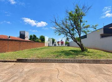 Terreno · 720m² · Terreno, Jardim Moysés Miguel Haddad, Rio Preto
