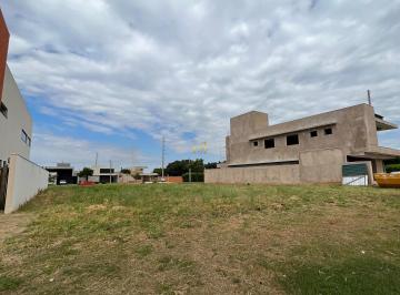 Imagem 1 · Terreno para venda em Jardim Montevidéu, Campo Grande