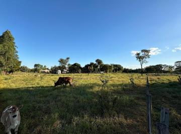 Imagem 1 · Terreno para venda em Chácara das Mansões, Campo Grande