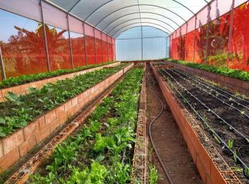 Rural de 2 quartos, São Paulo · Chácara de 30000 m² com 2 quartos à venda em Jardim dos Eucaliptos