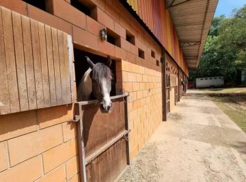 Rural en Venda Zona Rural · Haras em Porto Feliz