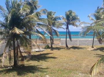 Casa de 4 quartos, Camaçari · VENDO CASA DE PRAIA PÉ NA AREIA — FRENTE MAR
Praia do Piruí — Arembepe, Litoral Norte da Bahia