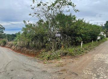 Terreno · 1000m² · Lote a venda no bairro recreio Internacional, Palmeiras Ipelandia