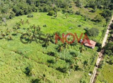 Sitio com 38 tarefas em Itaporanga · Sitio com 38 tarefas em Itaporanga
