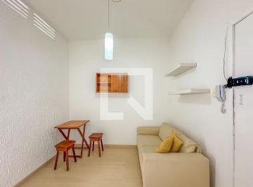 Apartamento de 1 quarto, Rio de Janeiro · Apartamento para Aluguel - Laranjeiras, 1 Quarto, 30 m2 - Rio de Janeiro
