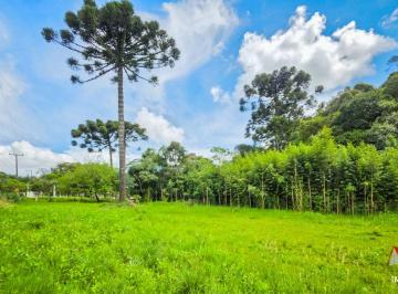 Rural , São José dos Pinhais · Chácara à Venda em São José dos Pinhais