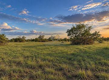 Pastagem formada em Brachiaria humidicola com relevo plano e excelente cobertura de solo. · Fazenda de 2.898 ha à Venda no Vale do Araguaia - MT
