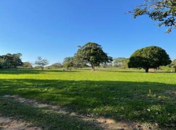 876926jlm.jpg · Sítio para Venda em Cabo Frio, São Jacinto (Tamoios), 7 dormitórios, 3 suítes, 5 banheiros