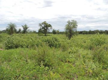 Rural de 2 quartos, Baixo Pantanal · Fazenda com 700 hectares em Porto Murtinho-MS — Terra fértil, água abundante e excelente estrutura