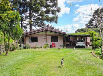 Rural de 3 quartos, Igrejinha · Sítio à Venda em Serra Grande – Igrejinha/RS | Natureza, Vista Panorâmica e Tranquilidade