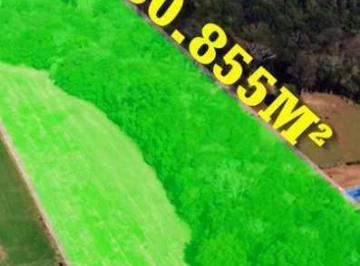 Imagem 1 · Chácara para venda em Salgadinho, Campo Largo