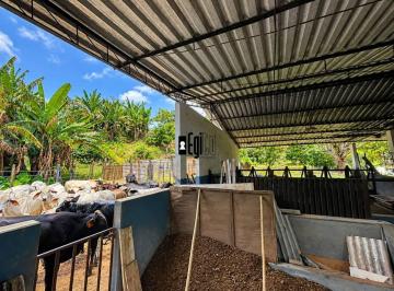9ed2e5557d38b4130e178989d2a976e4b6446d2b · Sítio com 2 dormitórios à venda, 150000 m² por R$ 700.000,00 - Zona Rural - Juiz de Fora/MG