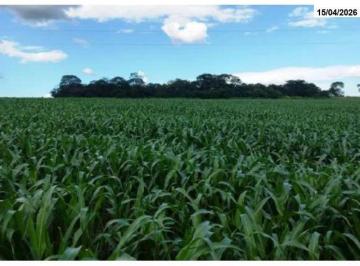 Rural , Itumbiara · Chácara com 4,84 hectares em Itumbiara/GO