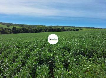 Rural , Ipameri · Fazenda a venda em Ipameri-GO - 162 HA - Ótimo para lavoura - Safra e Safrinha