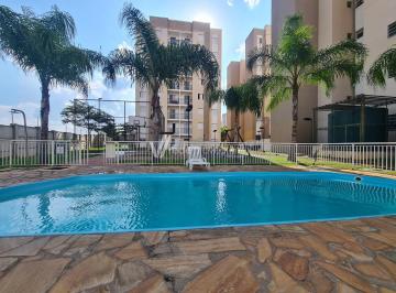 0 · apartamento à venda em Jardim Dulce (Nova Veneza)