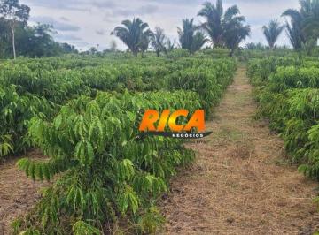 Imagem 1 · Fazenda para venda em Área Rural de Porto Velho, Porto Velho