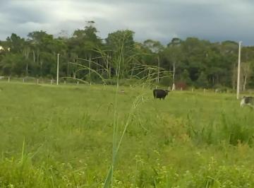 Imagem 1 · Casa para venda em Guarantã do Norte