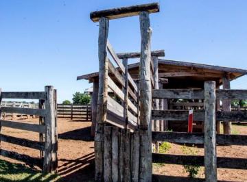 Imagem 2 · Fazenda para venda em Poconé