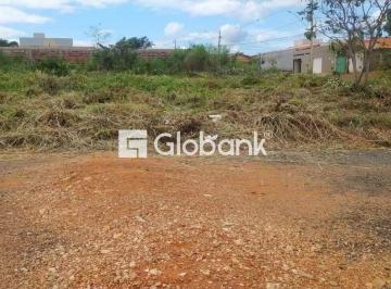 ed369b0d-8946-44df-9683-c5ba8dd28f91 · Vendo dois lotes no Jardim Primavera
